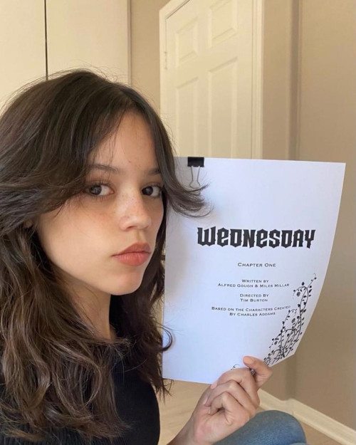 Wednesday season 2: Rumored release year, cast, and everything you need to  know about the Jenna Ortega starrer