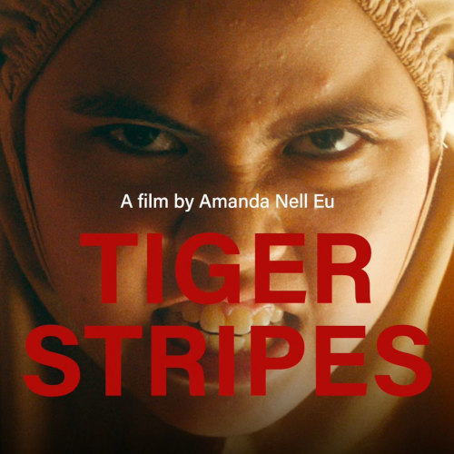 Festival Opening for 34th SGIFF - 'Tiger Stripes', a film by Amanda Nell Eu